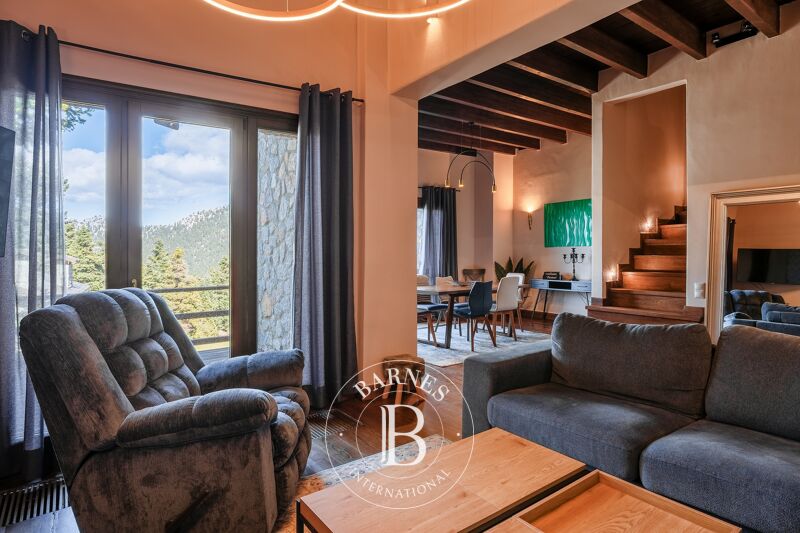 Zu verkaufen Haus | Parnassos - picture 2