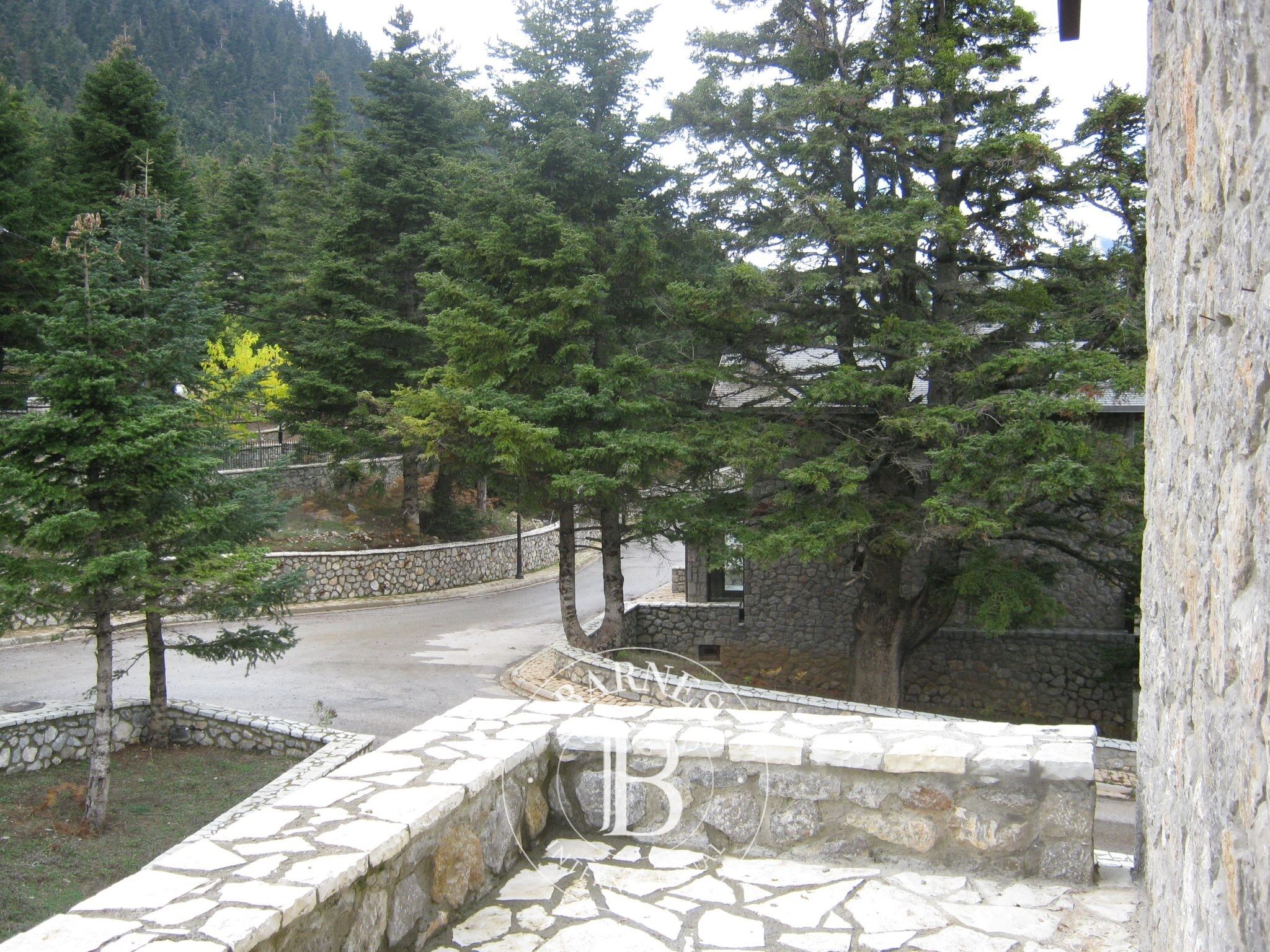 Charmants Appartements - Parnassos, Grèce Centrale - picture 2