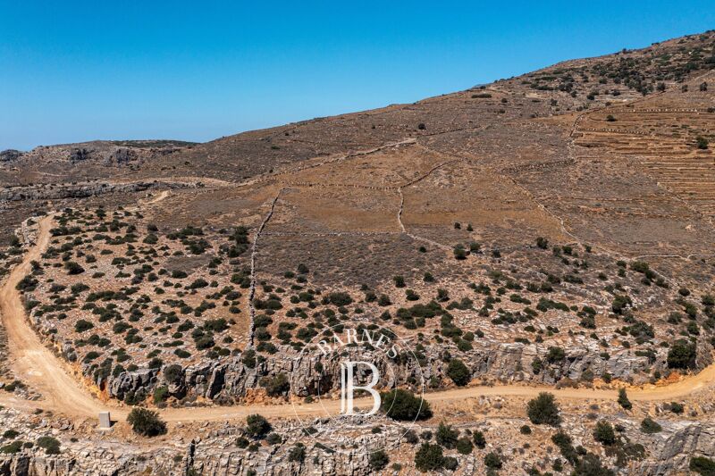 For Sale Building land | Andros - picture 2