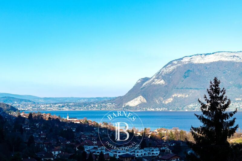 WEST BANK LAKE ANNECY - LAKE VIEW - GARDEN - POOL