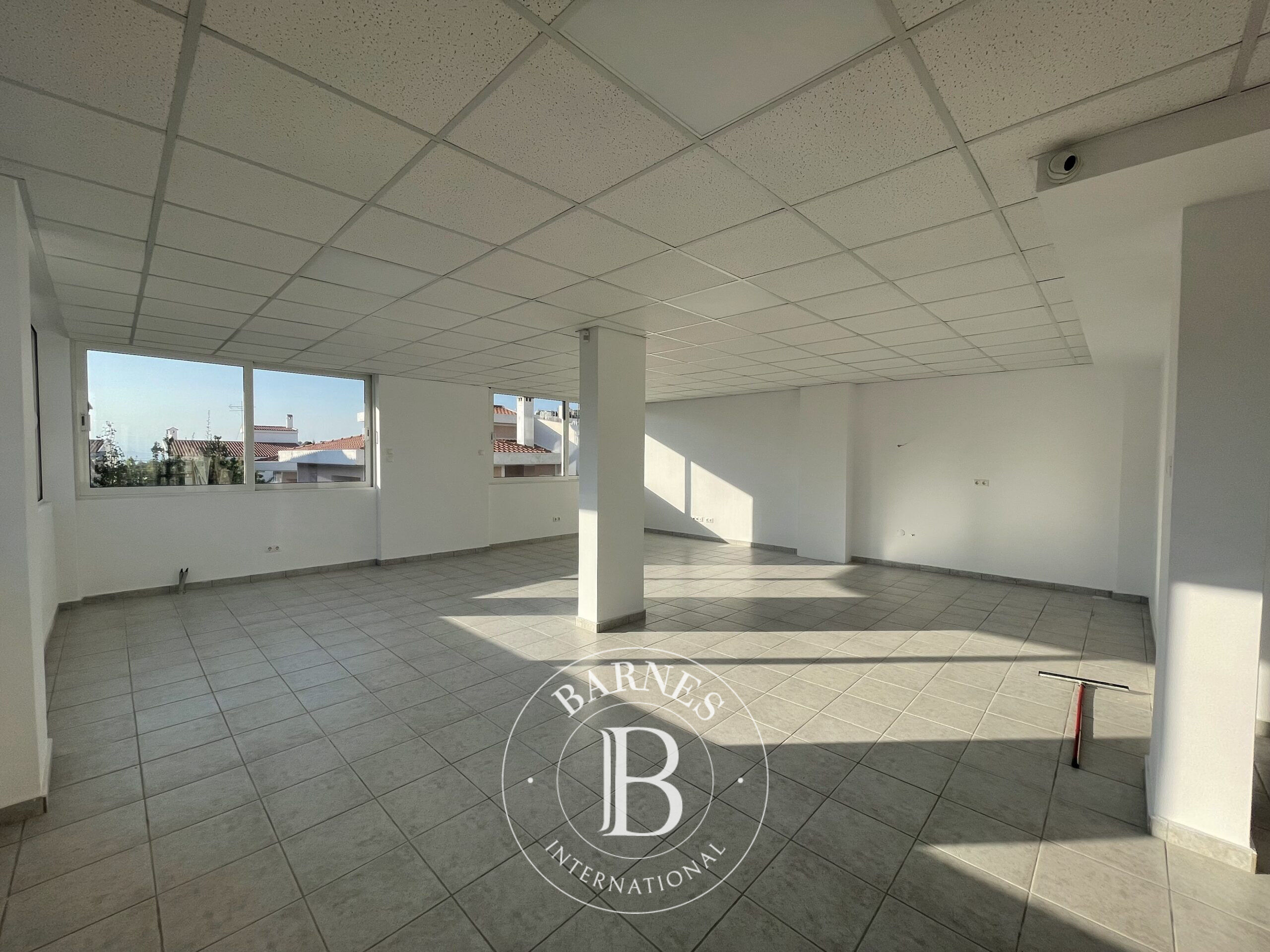 Bina Voula - picture 11