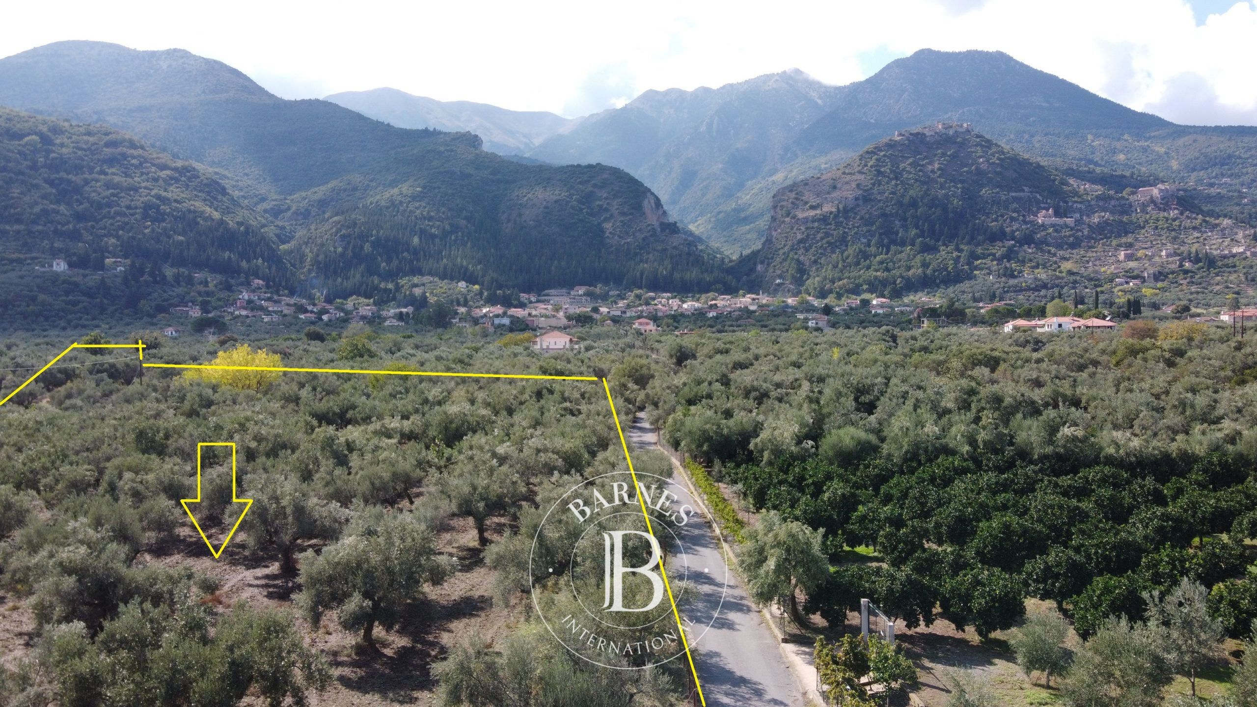 Τerrain Privilegie - Mystras, Laconie - picture 3