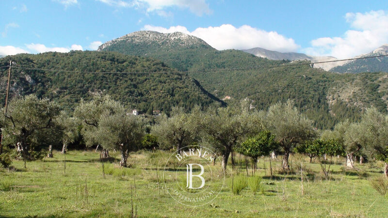 À vendre Terrain constructible | Laconia - picture 1