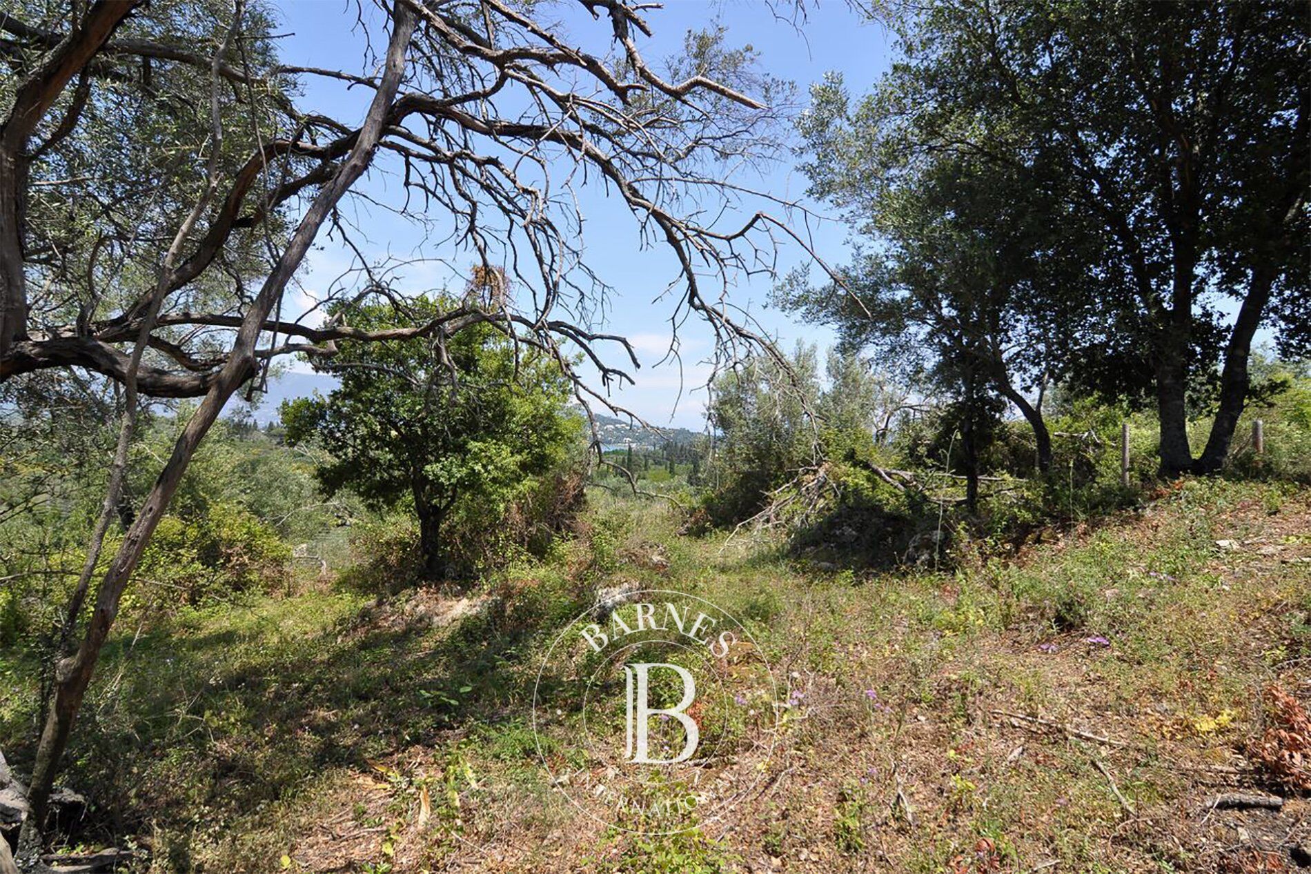 Bauland Corfu - picture 2