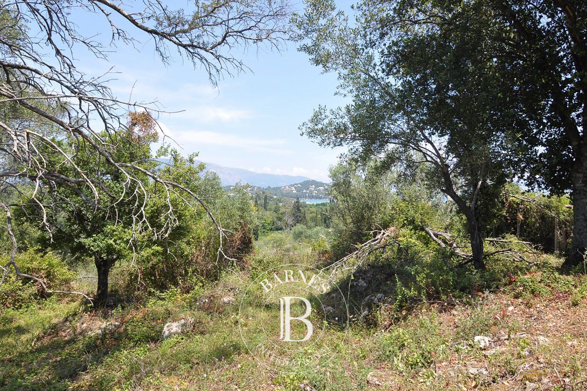 Bauland Corfu - picture 3