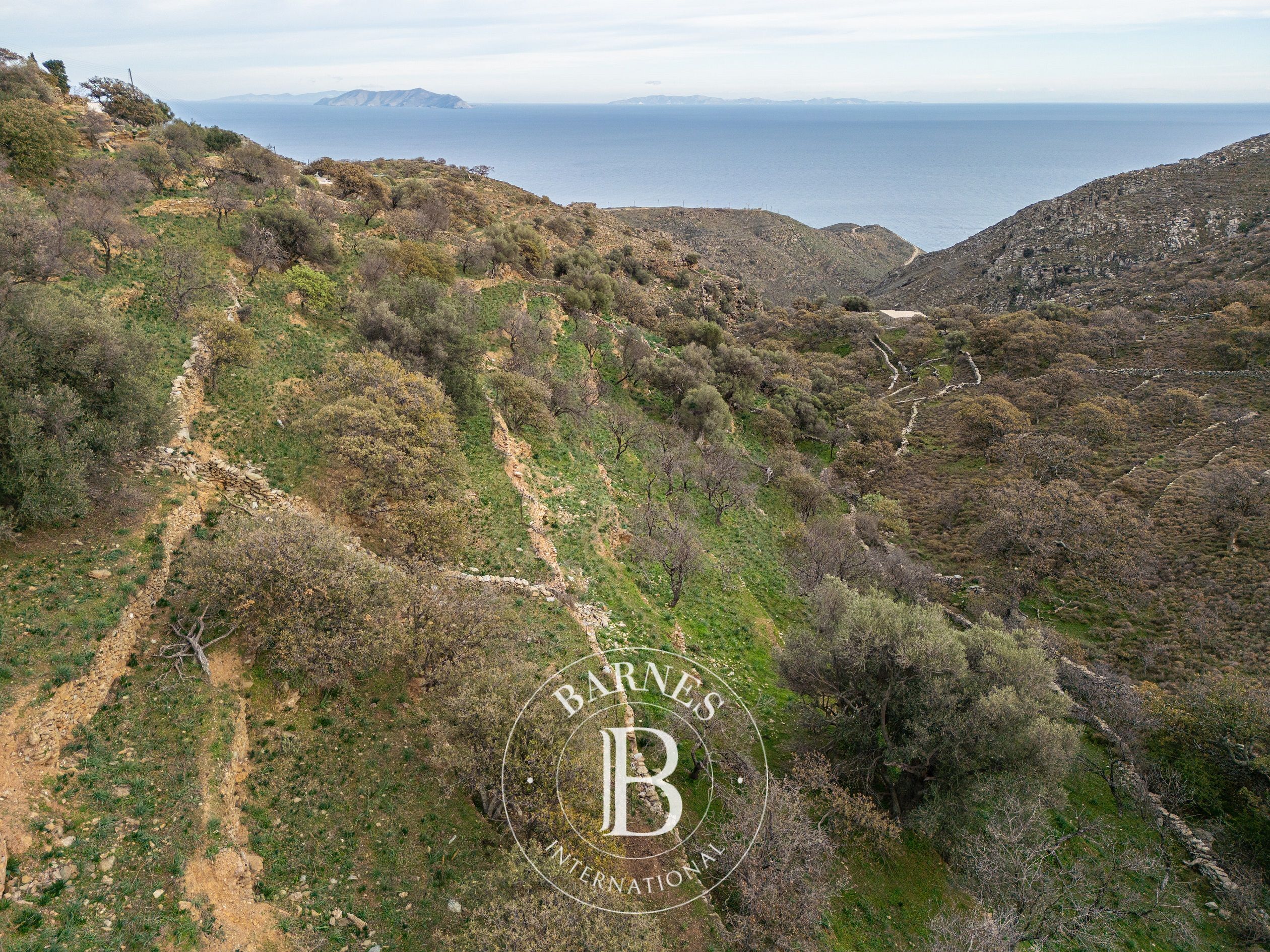 Wonderful Plot - Kea - picture 3