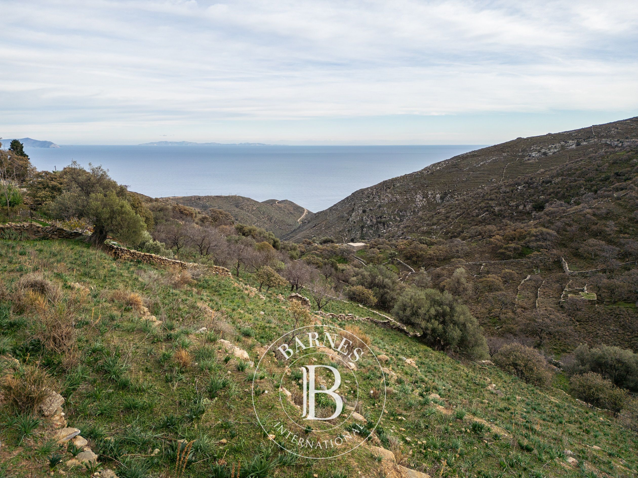 Wonderful Plot - Kea - picture 1