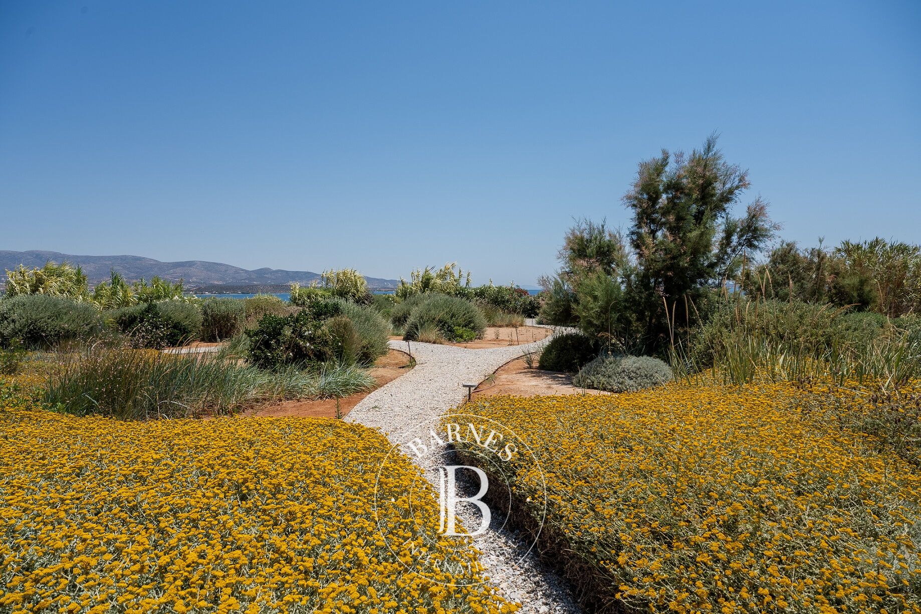 Ev Antiparos - picture 22