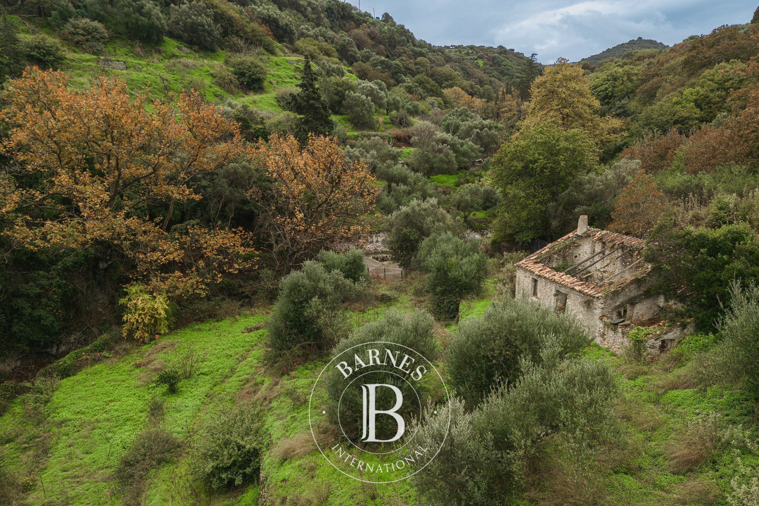 Terrain - Île de Cythère - picture 3