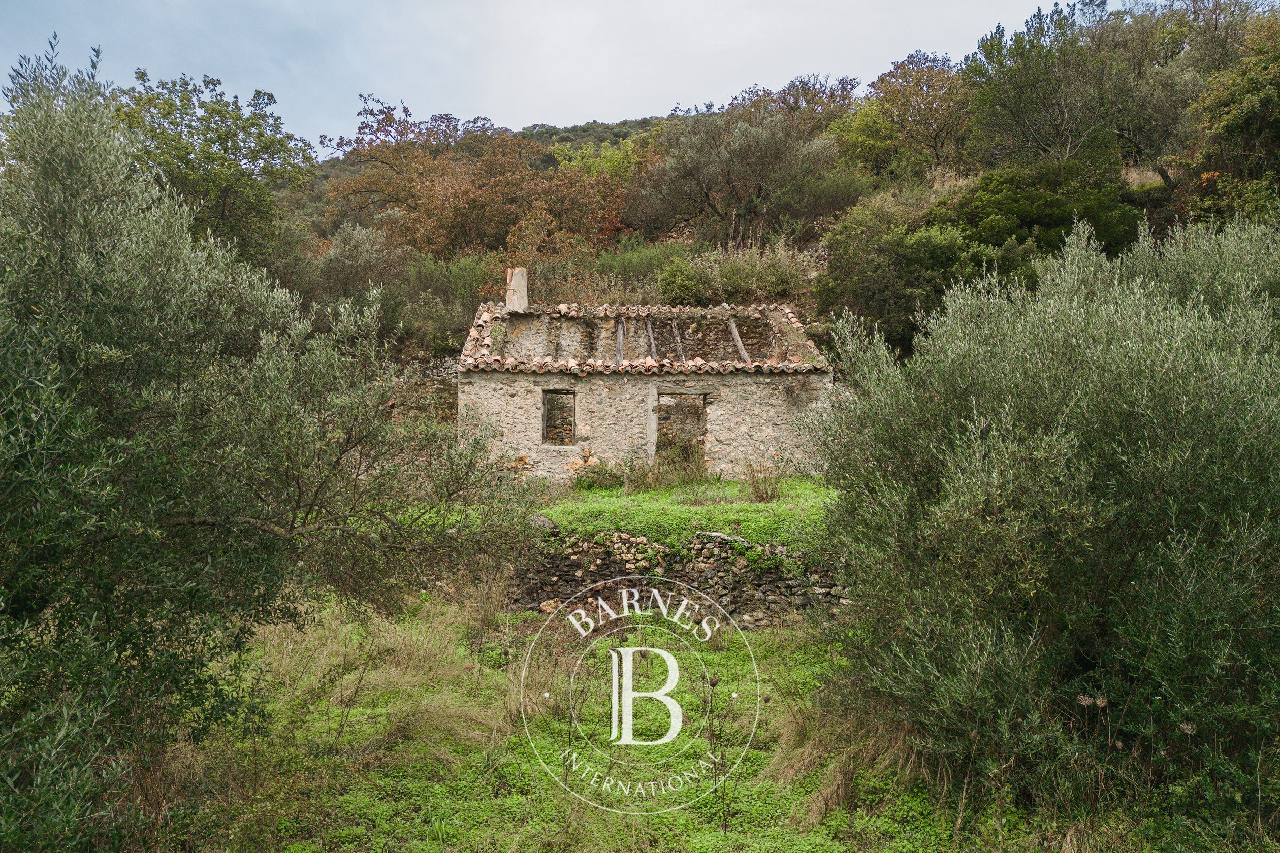 Terrain - Île de Cythère - picture 2