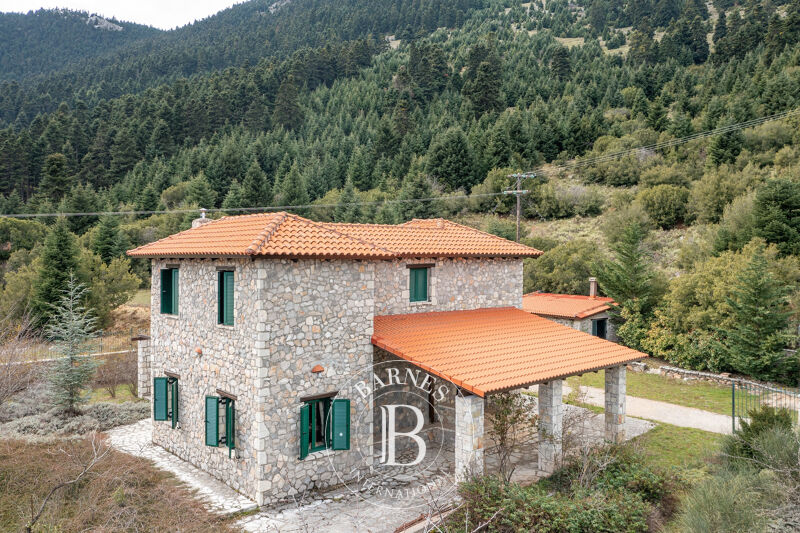 À vendre Maison | Parnassos - picture 1