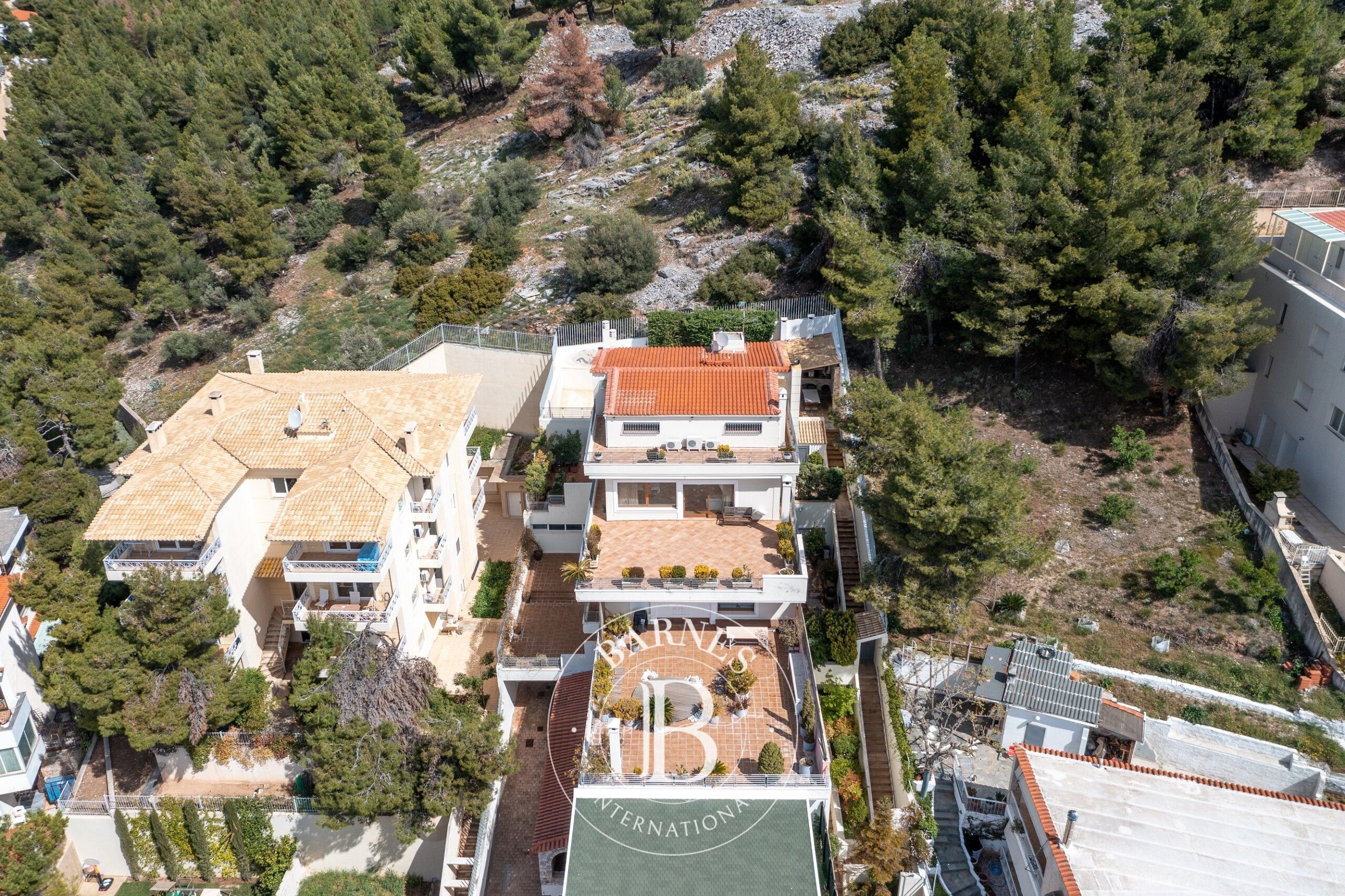 Ev Politeia - picture 22