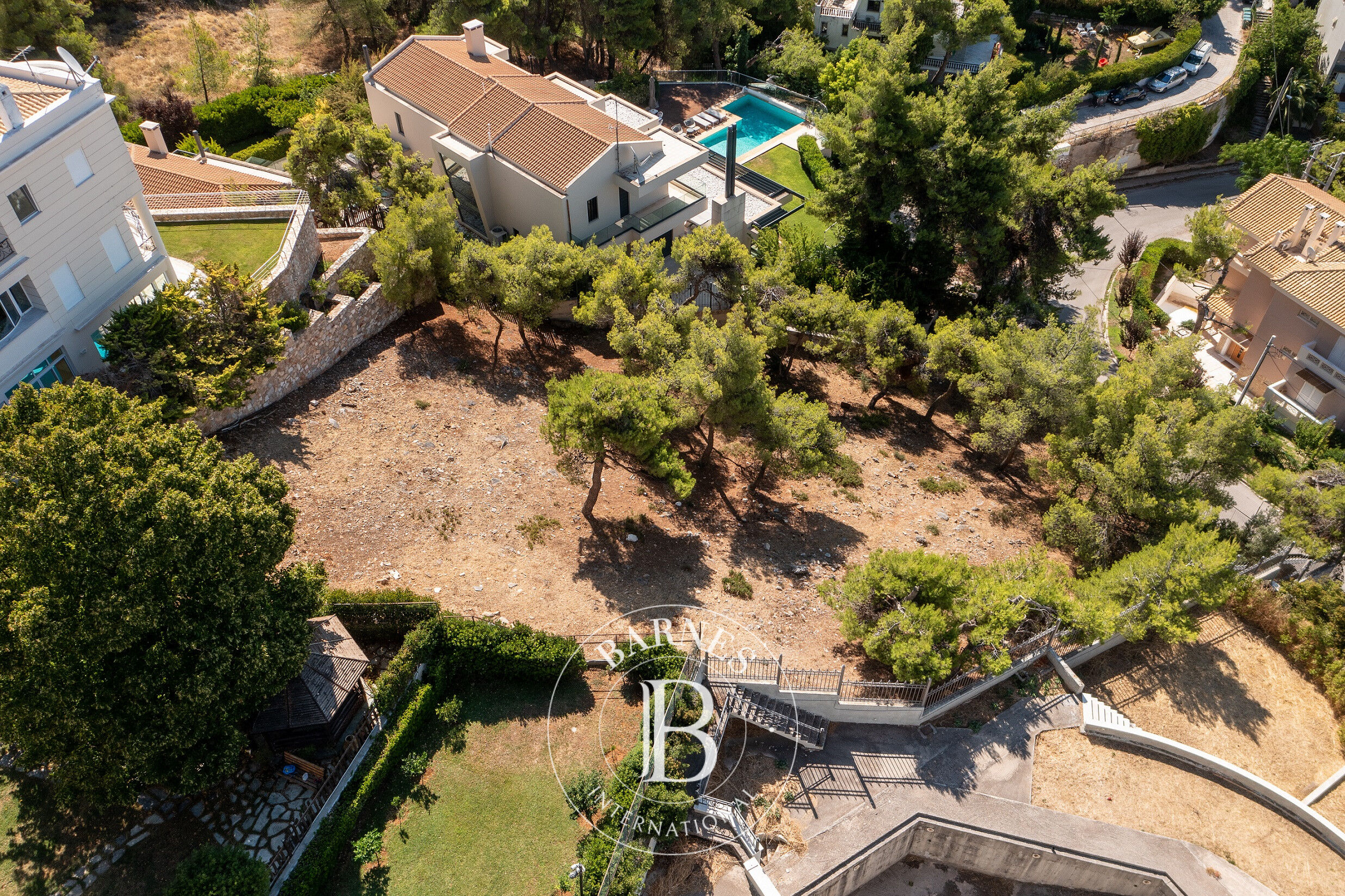 Zemin Politeia - picture 6