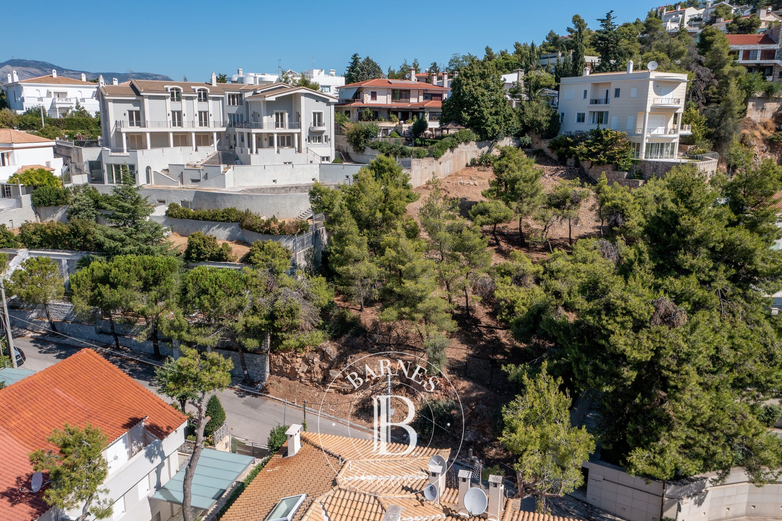 Zemin Politeia - picture 4