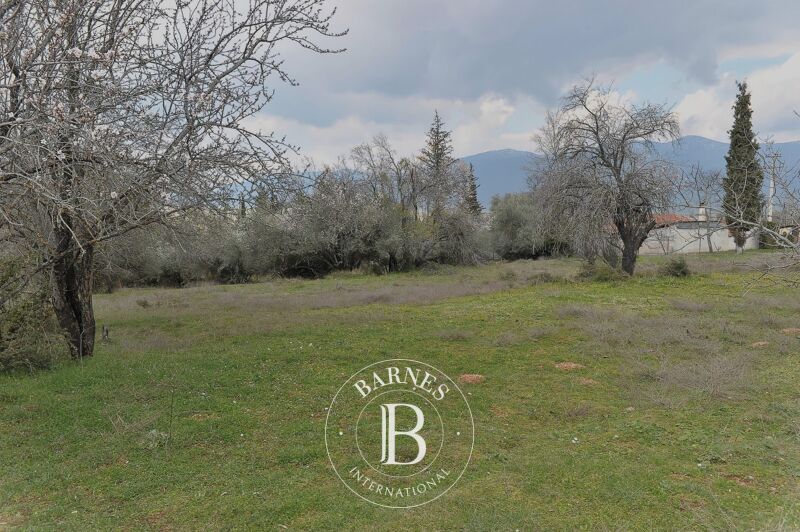 À vendre Terrain constructible | Parnassos - picture 2