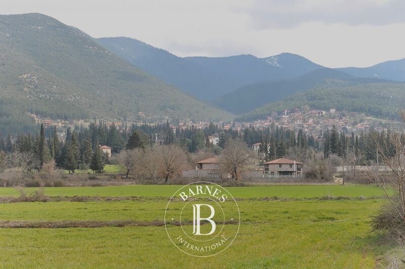 À vendre Terrain constructible | Parnassos - picture 1