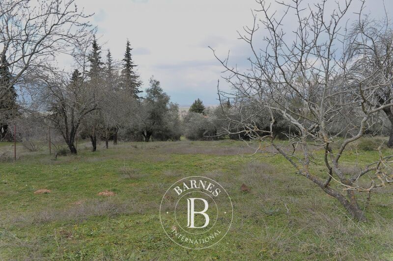 À vendre Terrain constructible | Parnassos - picture 3