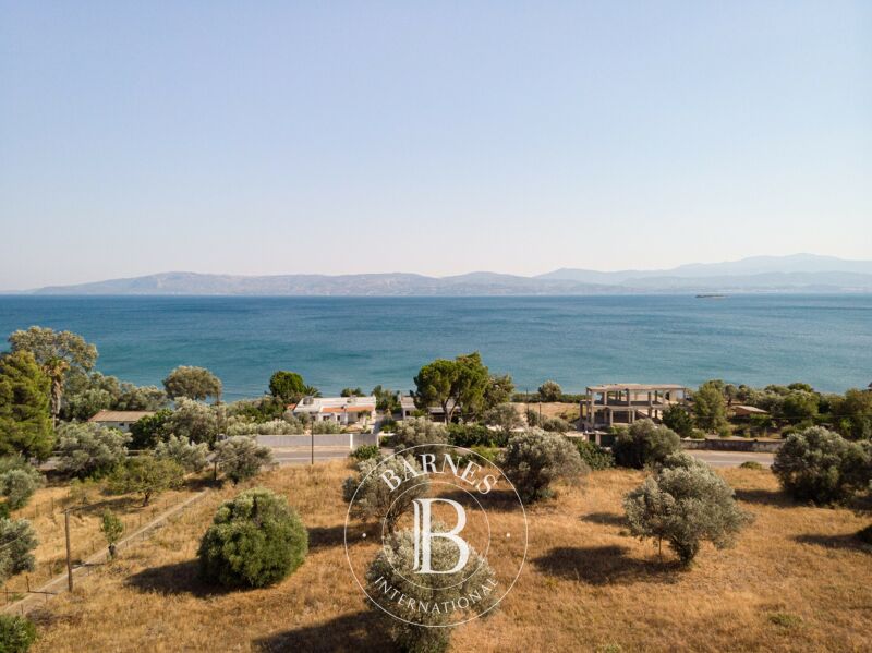 Zu verkaufen Haus | Evia - picture 2