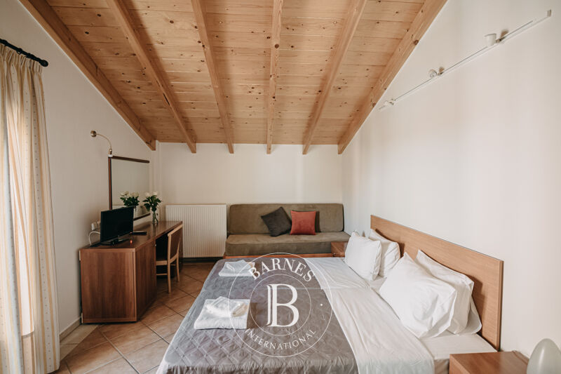 Zu verkaufen, Gewerbe Peloponnese - picture 3