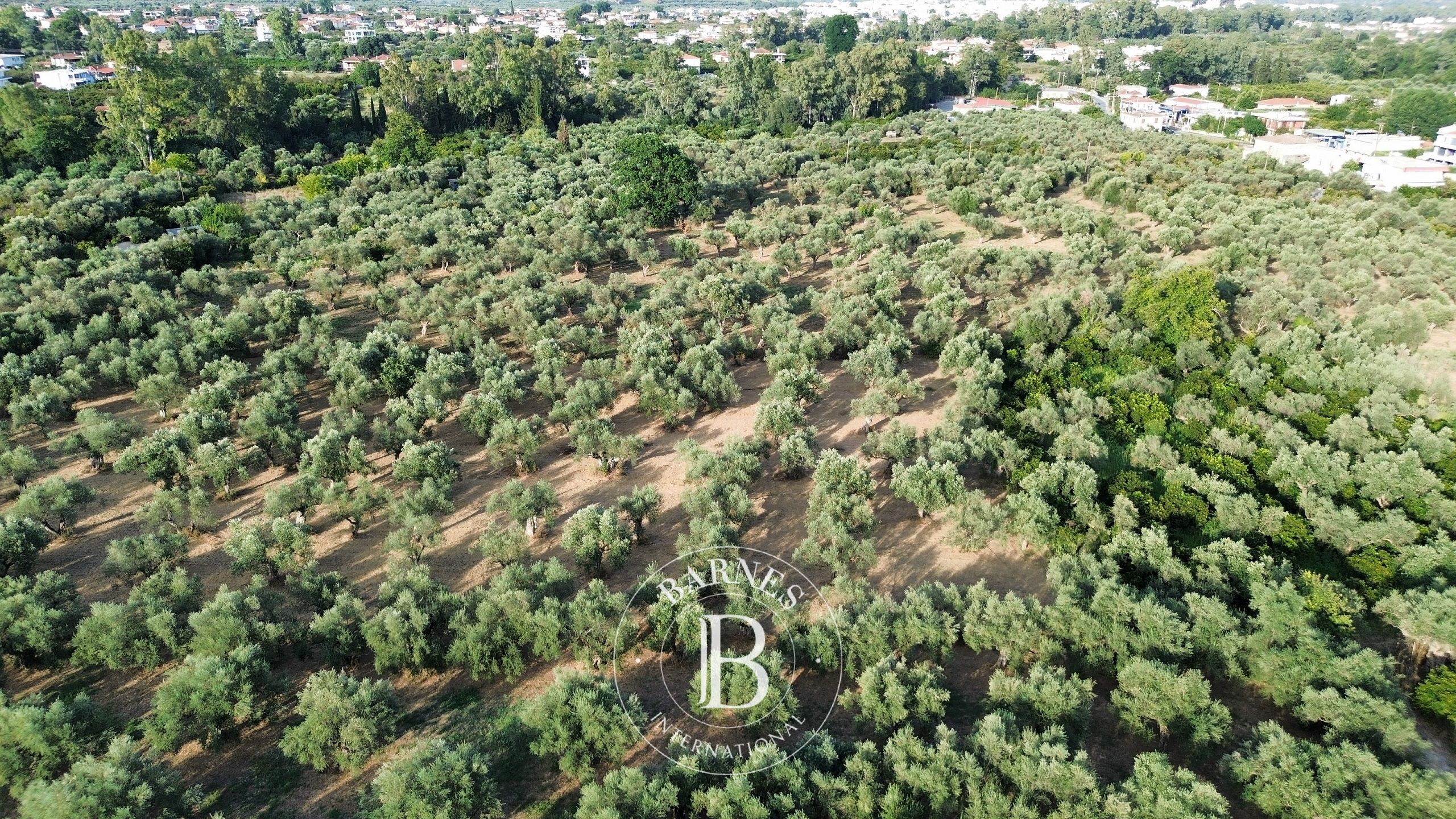 Terreno edificabile Laconia - picture 3