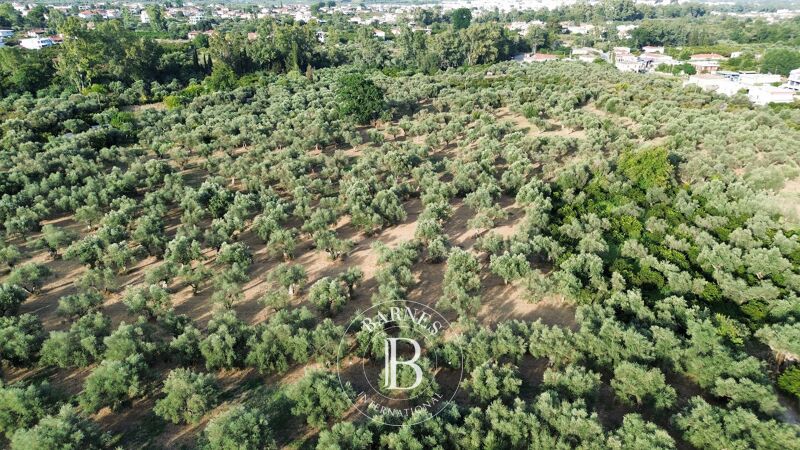 For Sale Building land | Laconia - picture 3