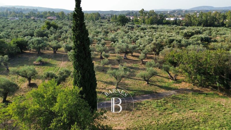 For Sale Building land | Laconia - picture 2