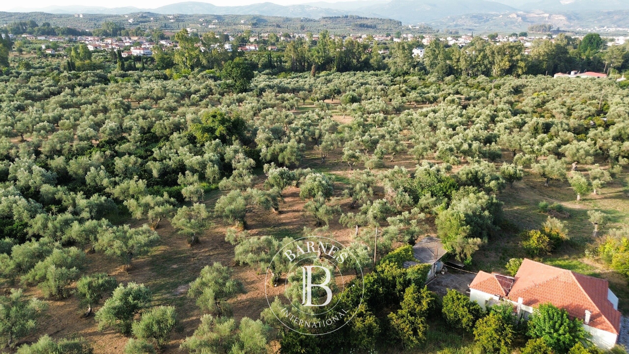 Terreno edificabile Laconia - picture 1