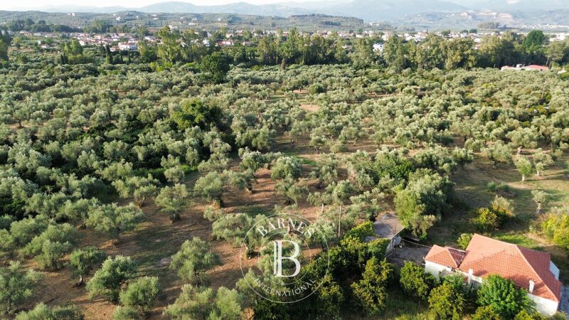 For Sale Building land | Laconia - picture 1