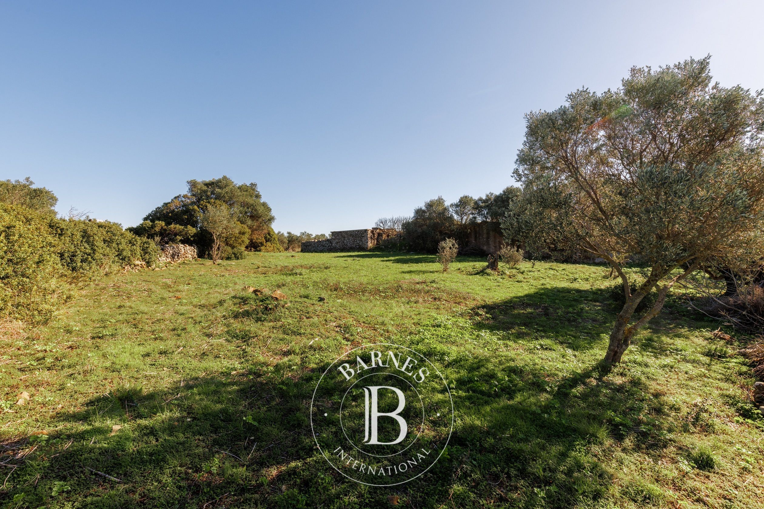 Terrain - Île de Cythère - picture 3