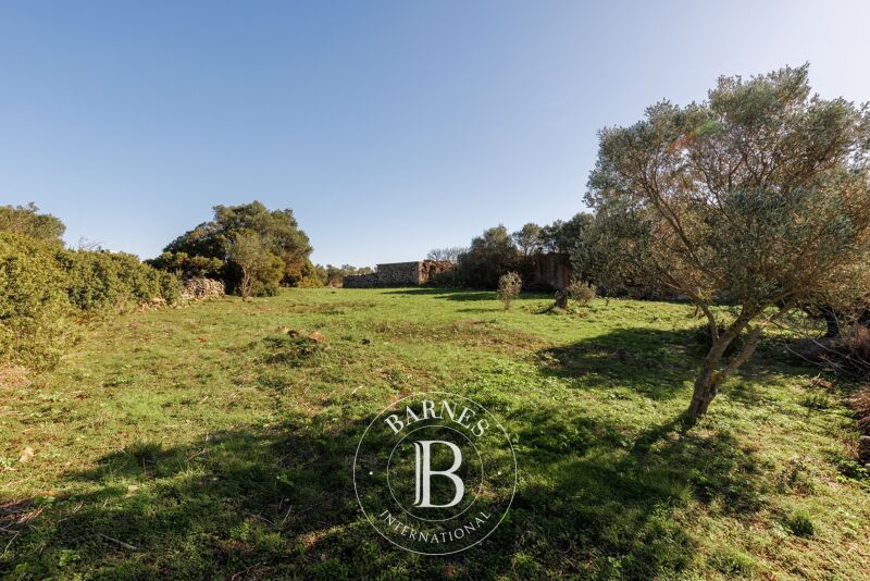 À vendre, Terrain constructible Kythira - picture 3