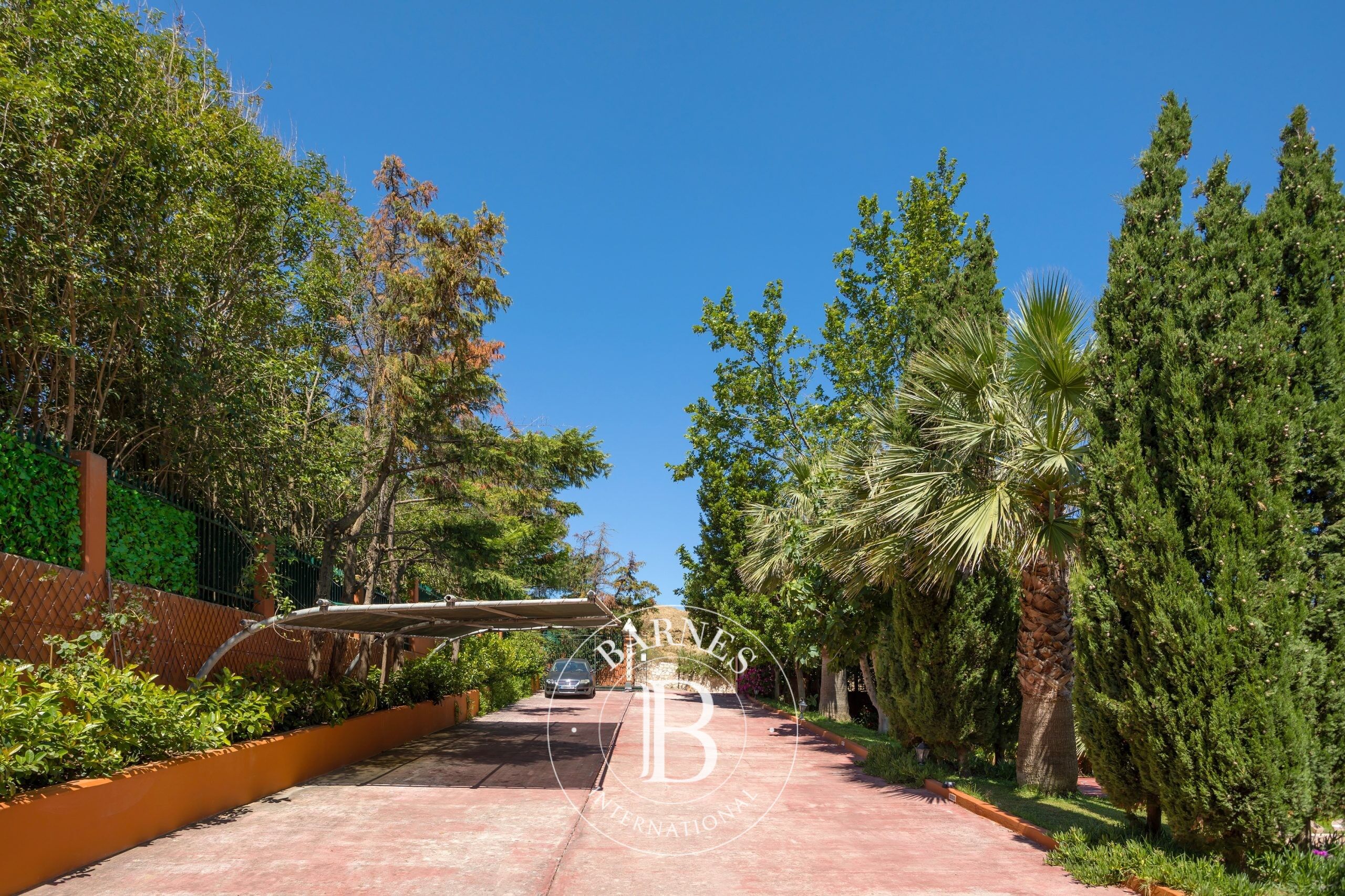 Ev Zakynthos - picture 8