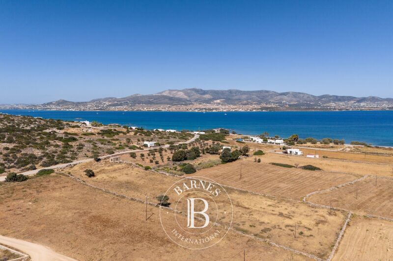 À vendre Terrain constructible | Antiparos - picture 3