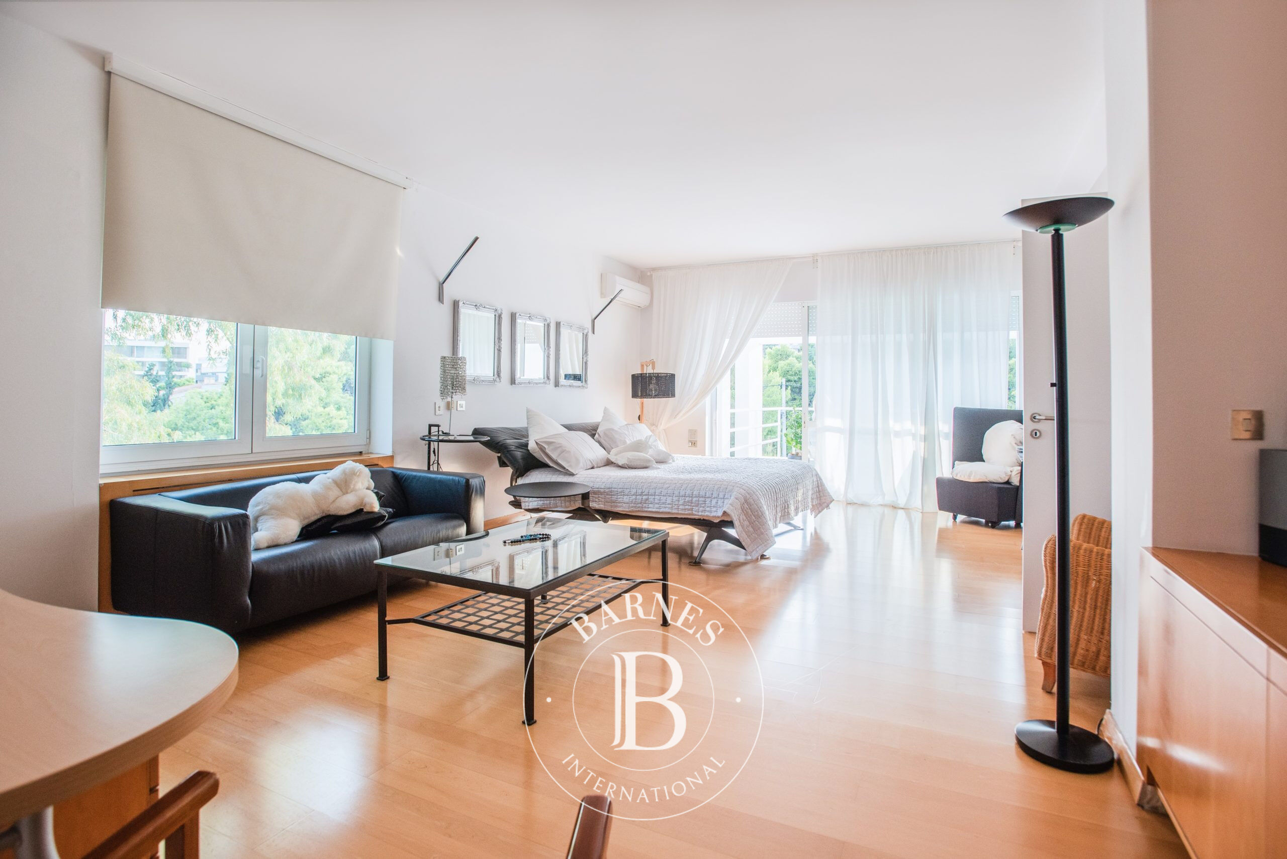 Ev Vouliagmeni - picture 8