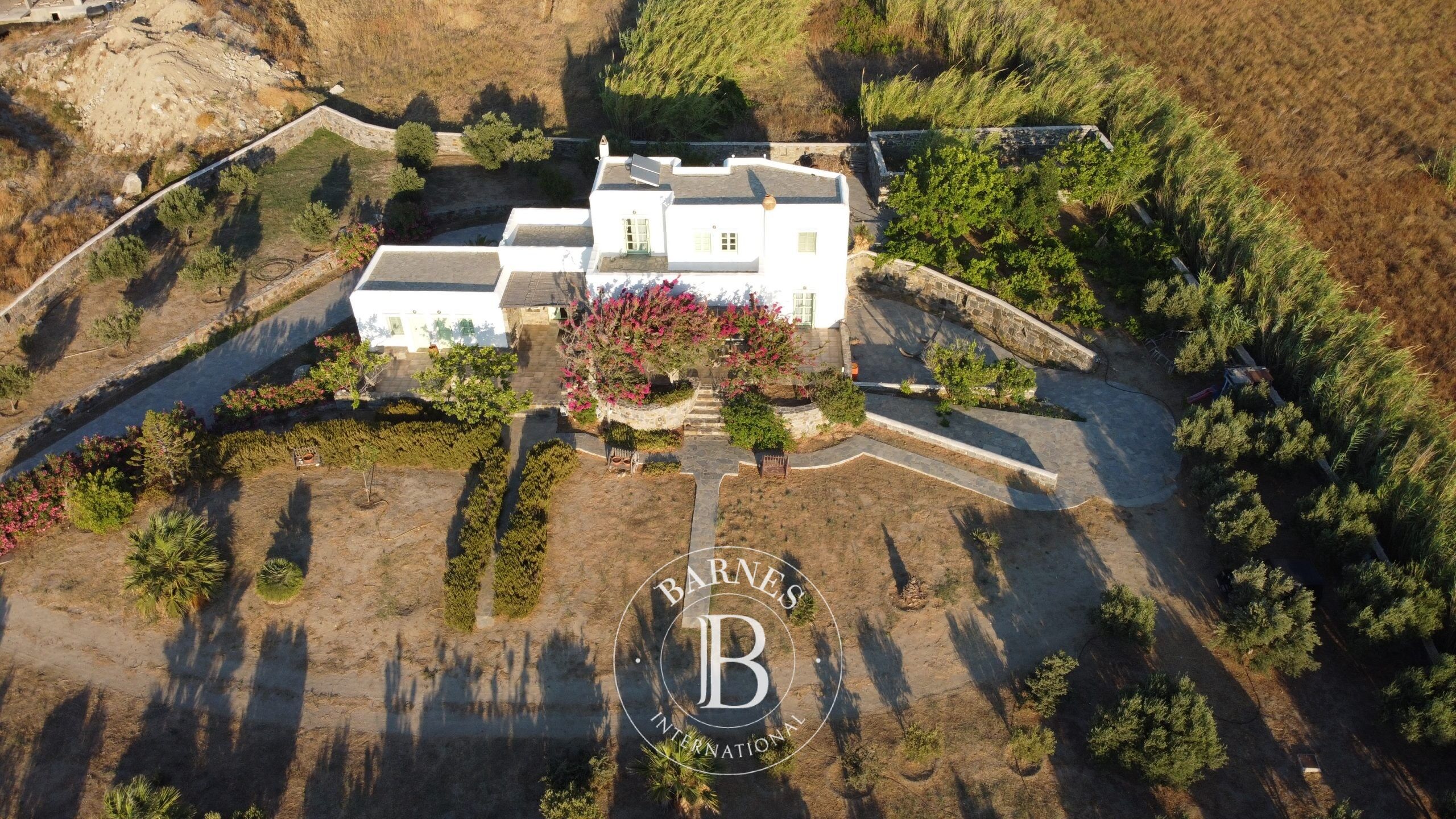 Casa Naxos - picture 2