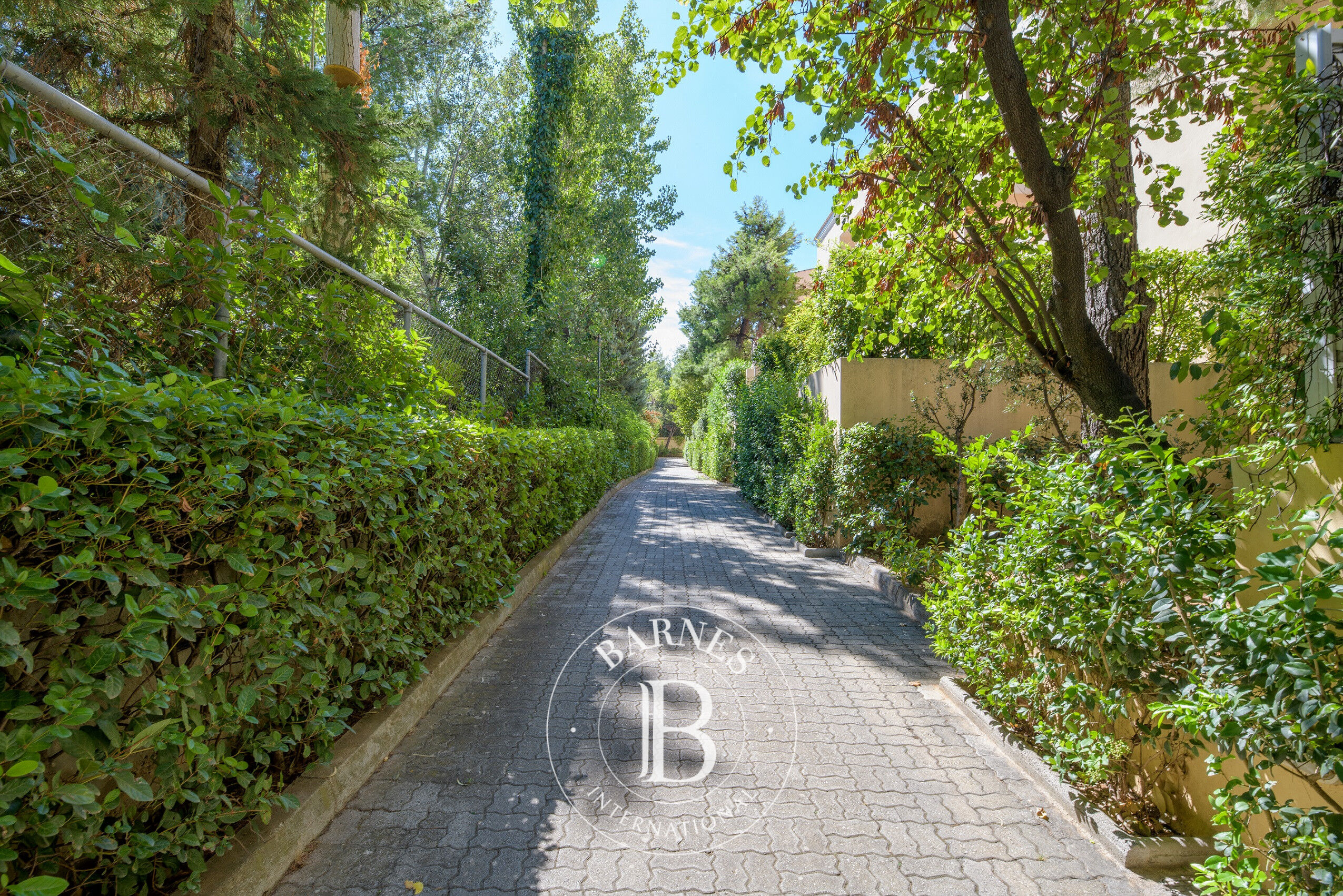 Ev Kefalari - picture 16