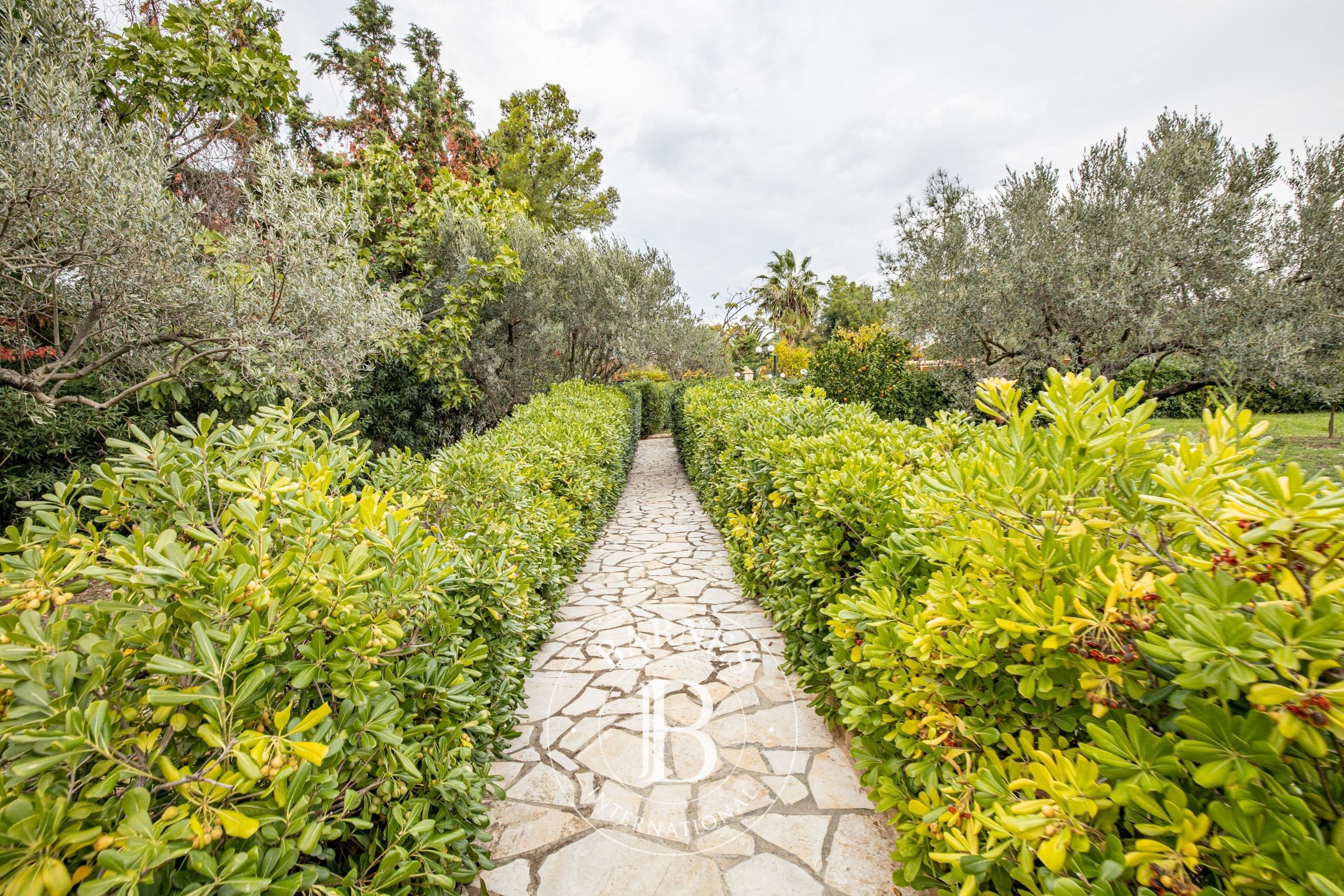 Casa Evia - picture 2