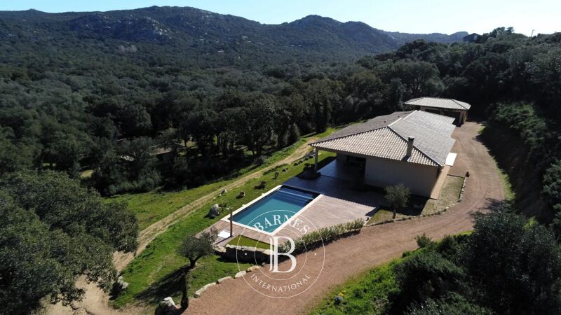 Venta, Villa Porto-Vecchio - picture 1