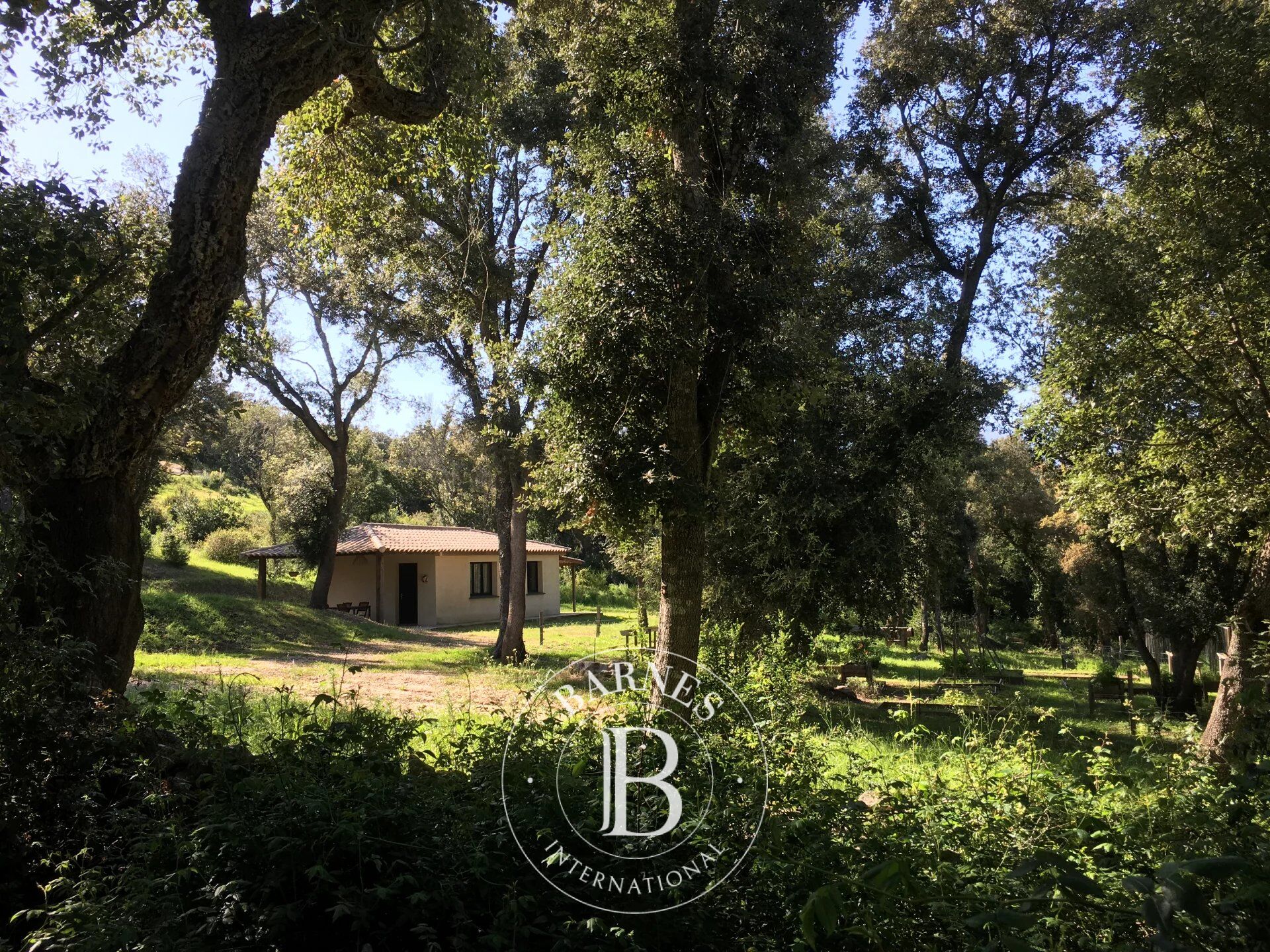 Villa Porto-Vecchio - picture 1