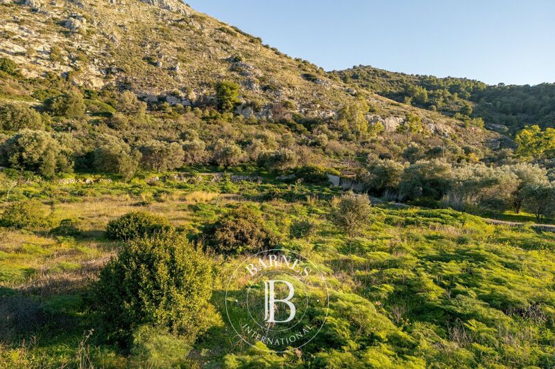 For Sale Building land | Aegina - picture 3
