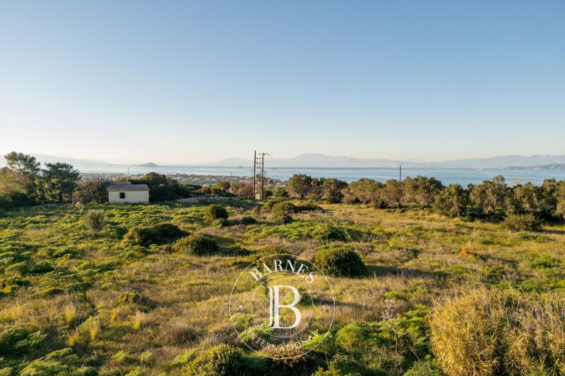 For Sale Building land | Aegina - picture 2