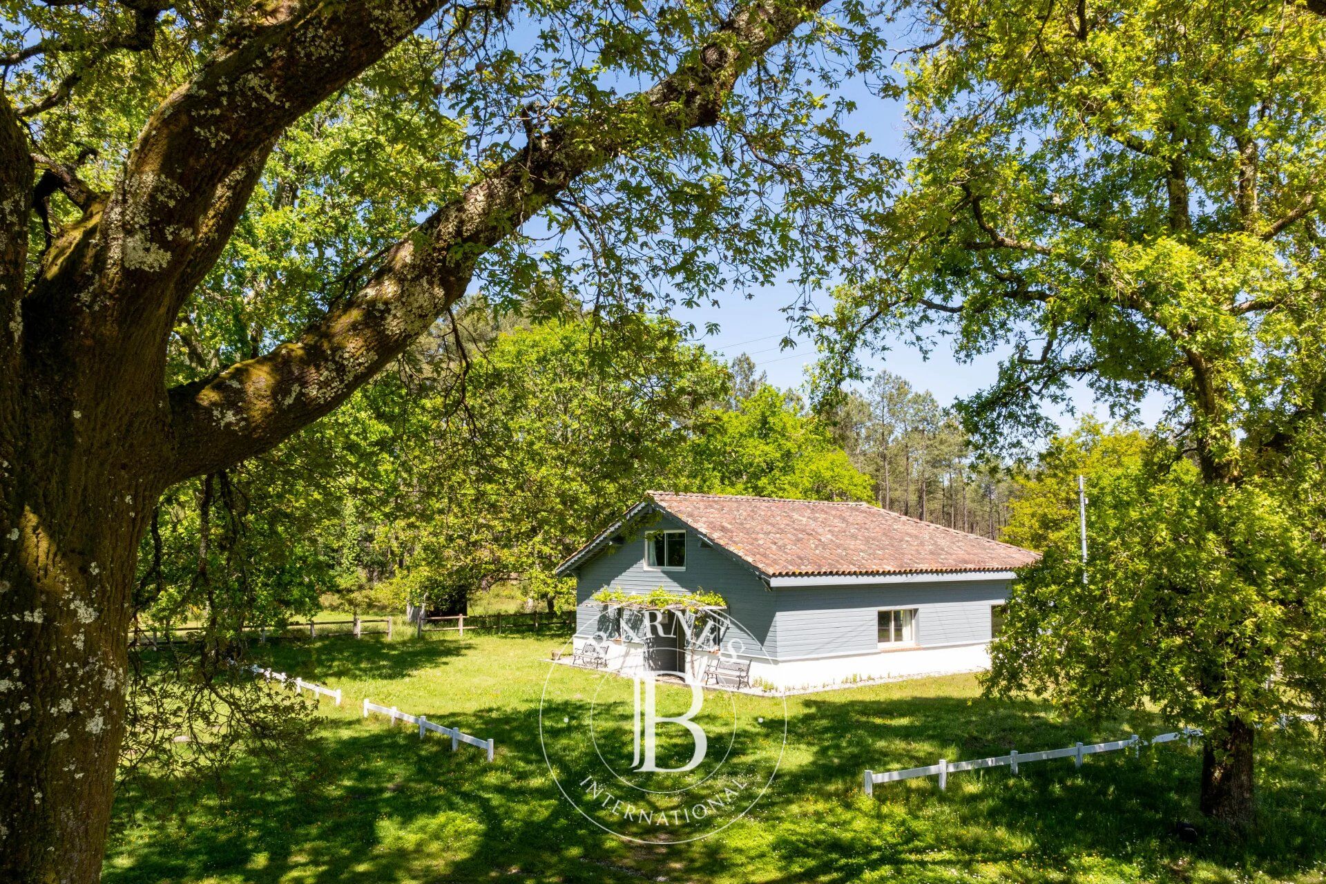 MAGESCQ, PROPIEDAD DE MÁS DE 7.5 HA - picture 3