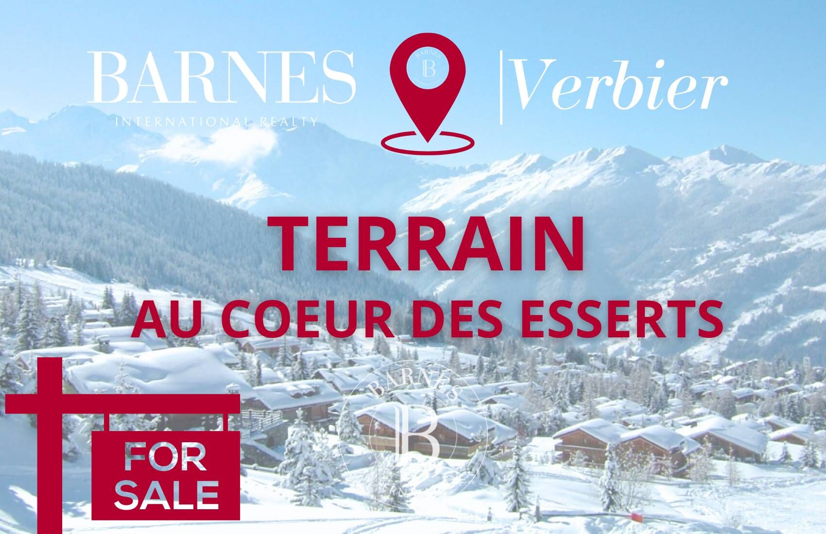 Arazi Verbier