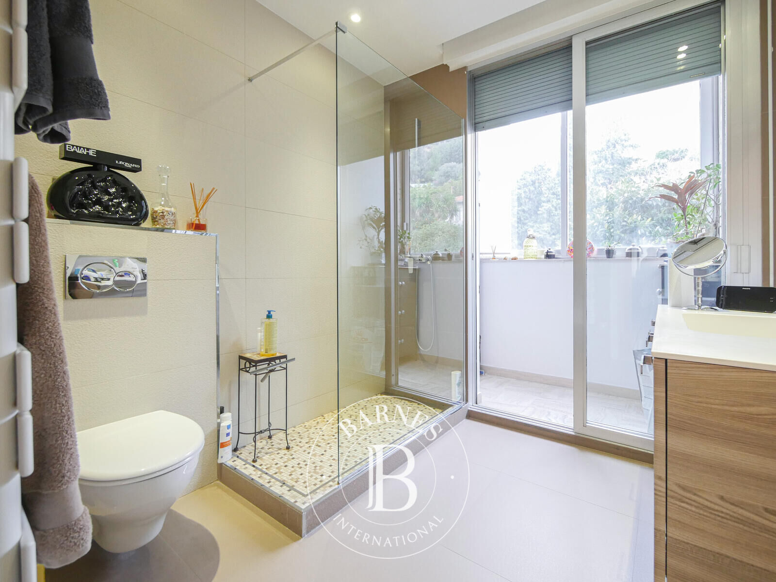 Daire Monaco - picture 8