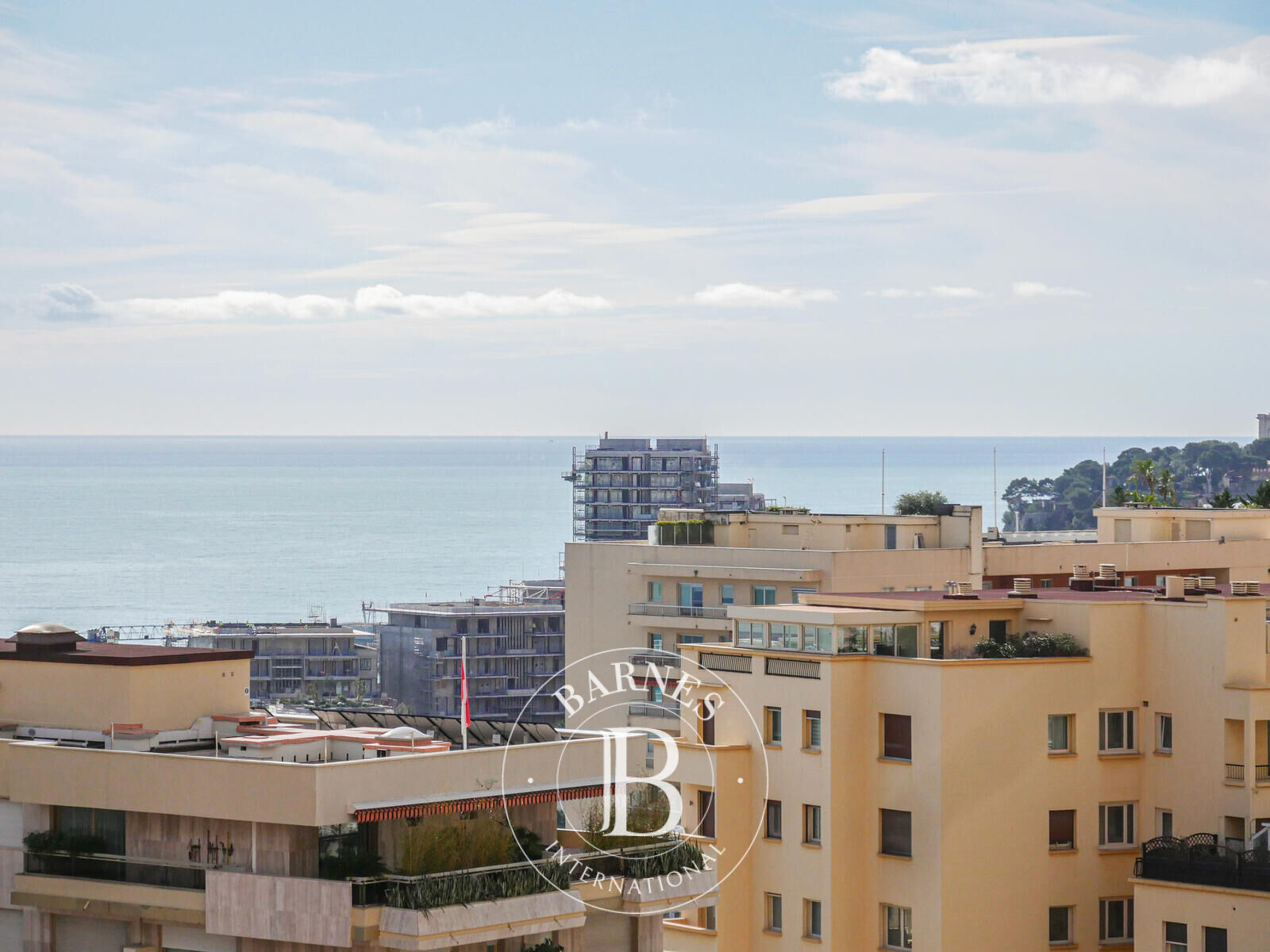 Daire Monaco - picture 10