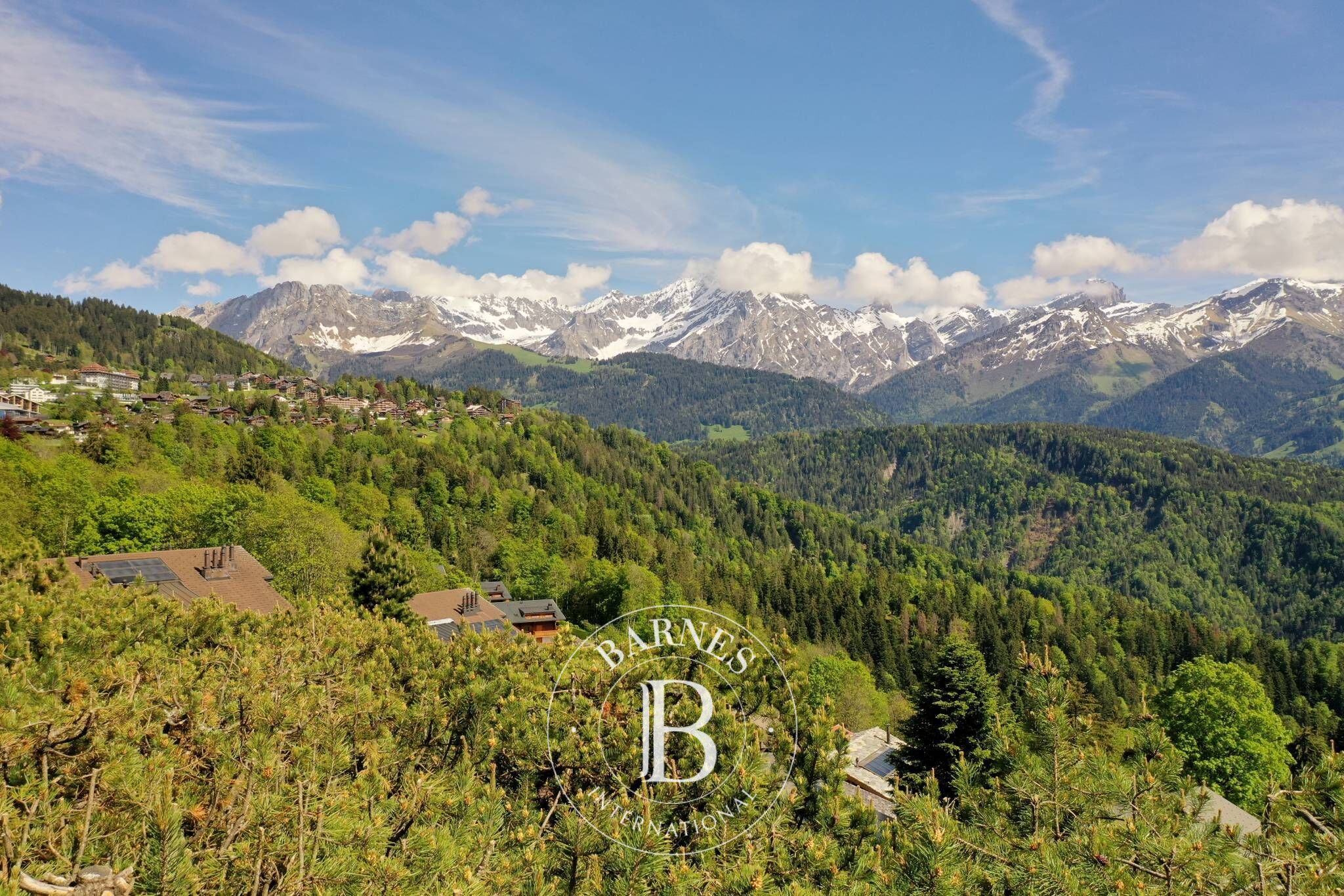 Villa Chesières - picture 32