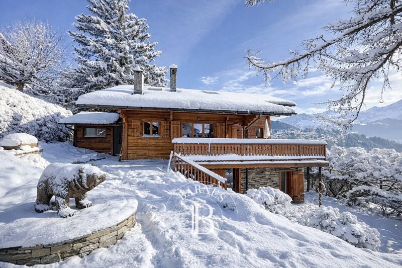 Chalet de charme avec une vue imprenable sur les montagnes