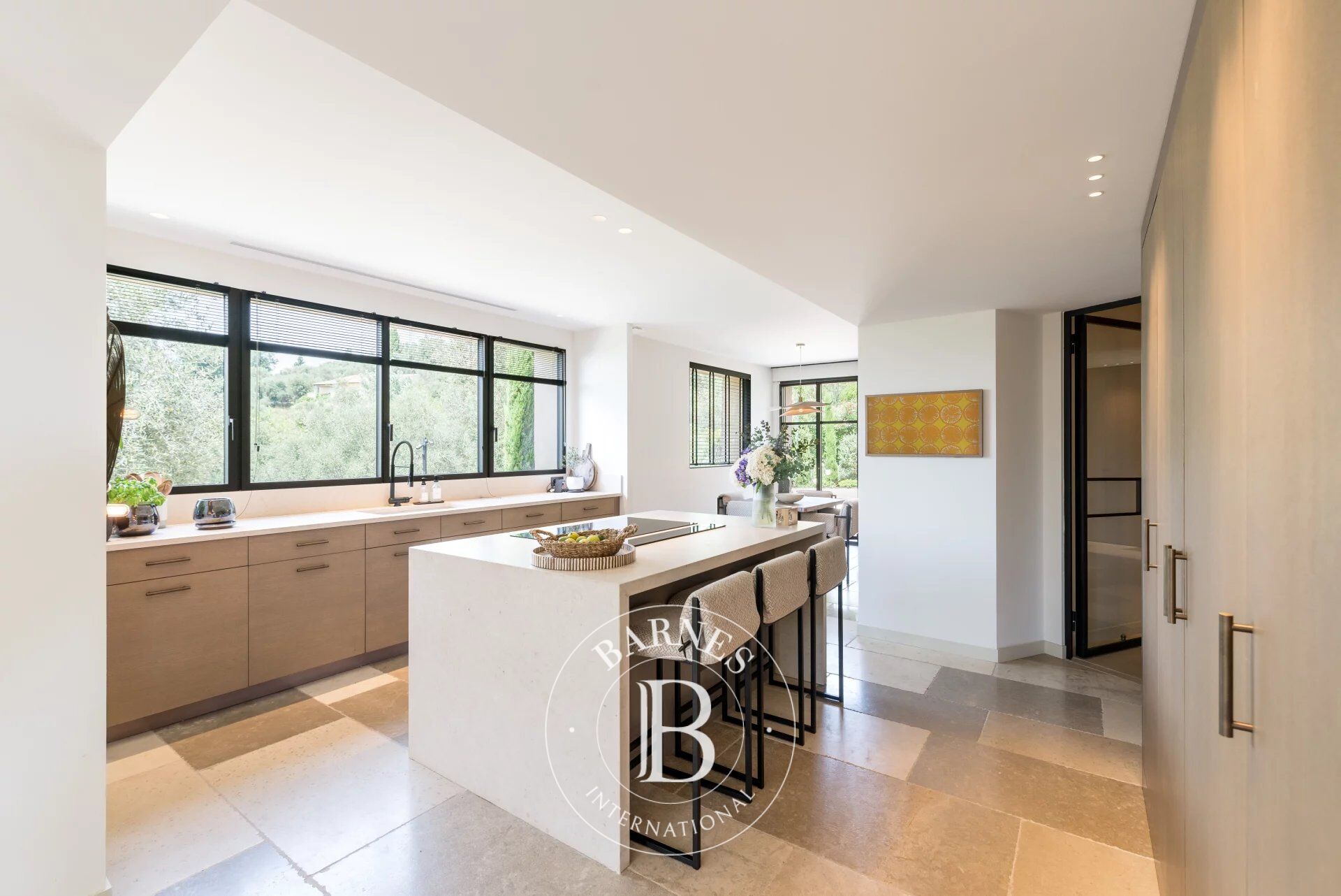 Ev Plascassier - picture 7