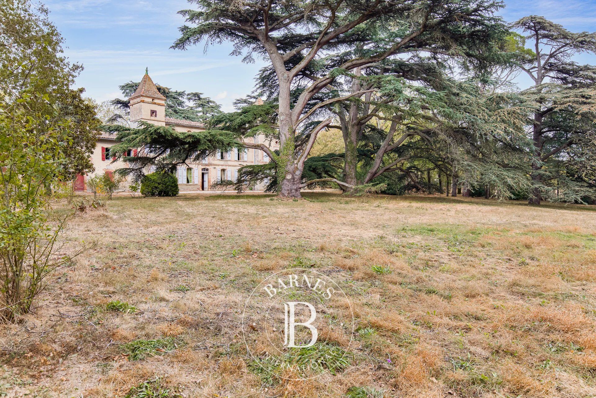 Castillo Villefranche-de-Lauragais - picture 3