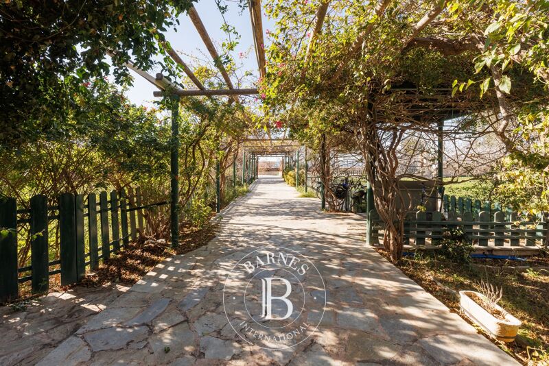 For Sale House | Aegina - picture 3