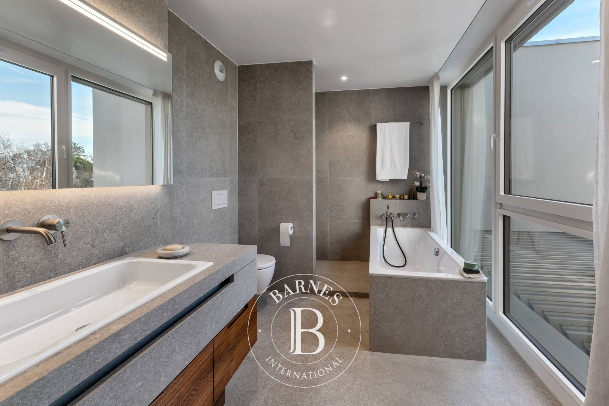 Yarı müstakil ev Vésenaz - picture 6